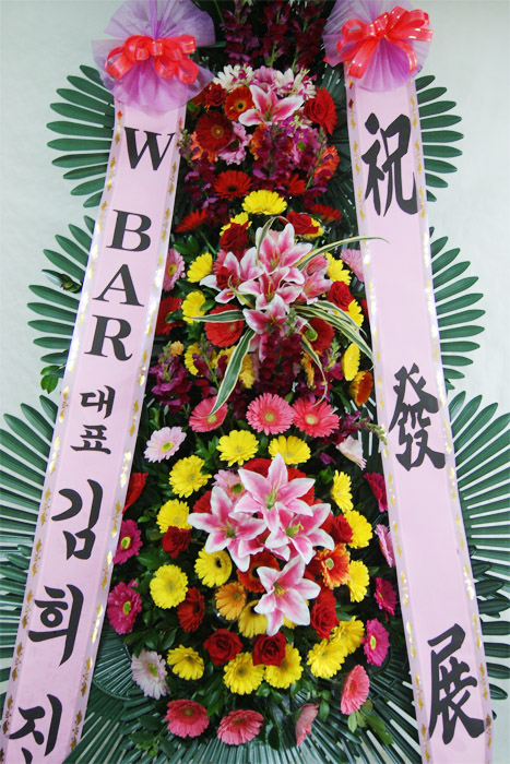 ST-FA064