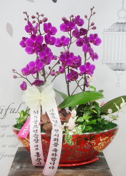 ST-H293