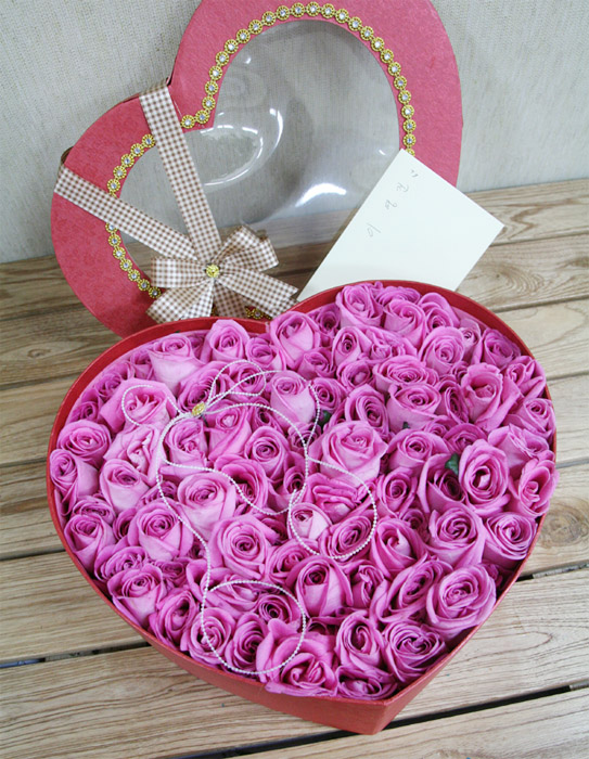 ST-B221