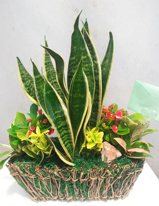 ST-K039