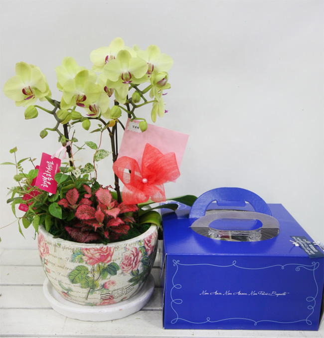 ST-H397