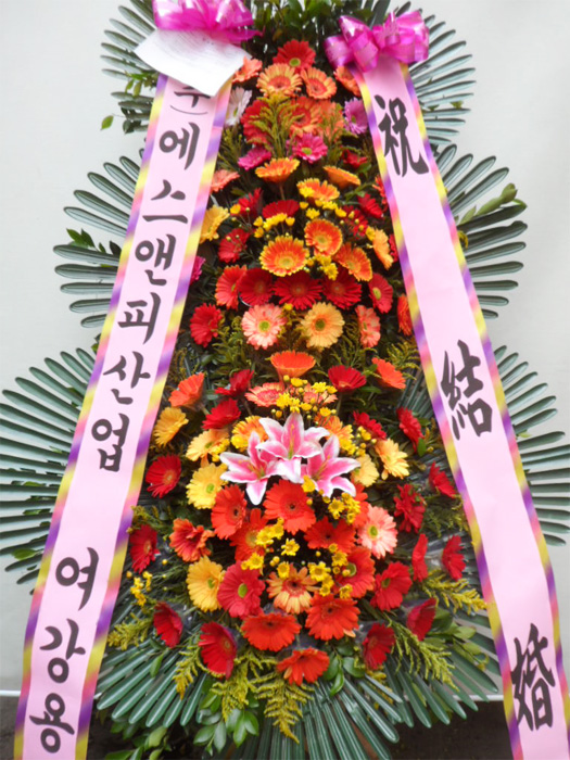 ST-FA248
