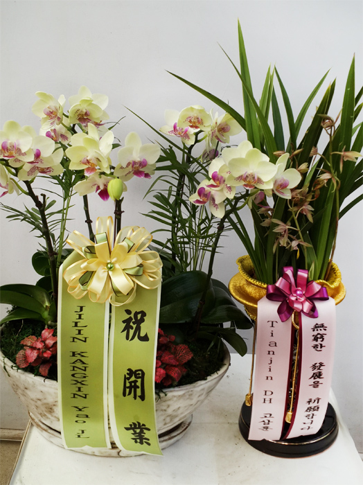 ST-E467