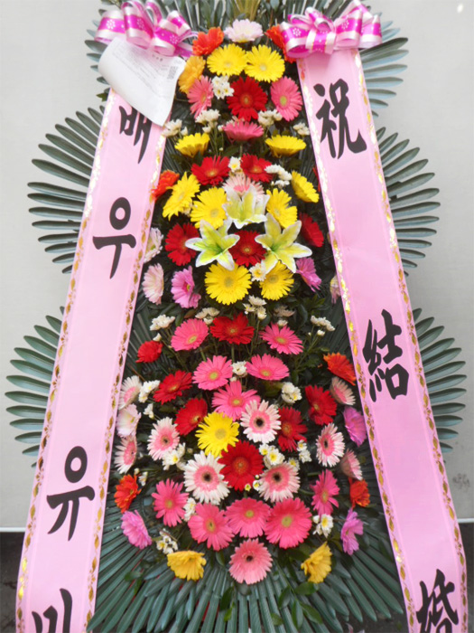 ST-FA064