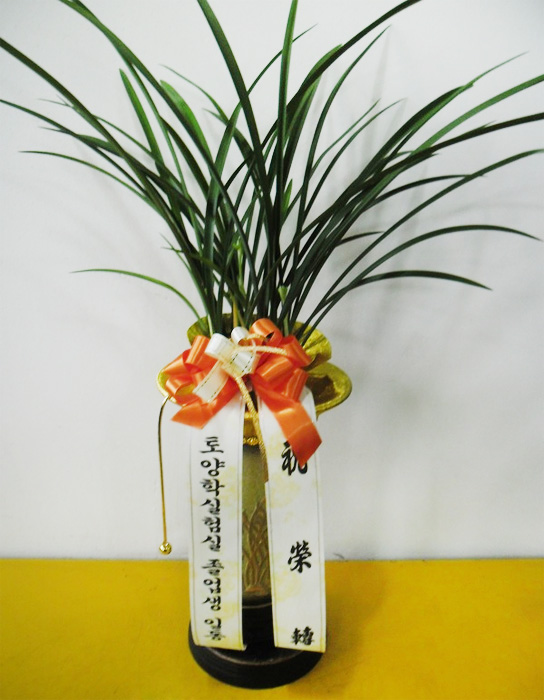 ST-E479