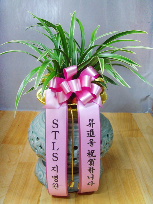 ST-E465