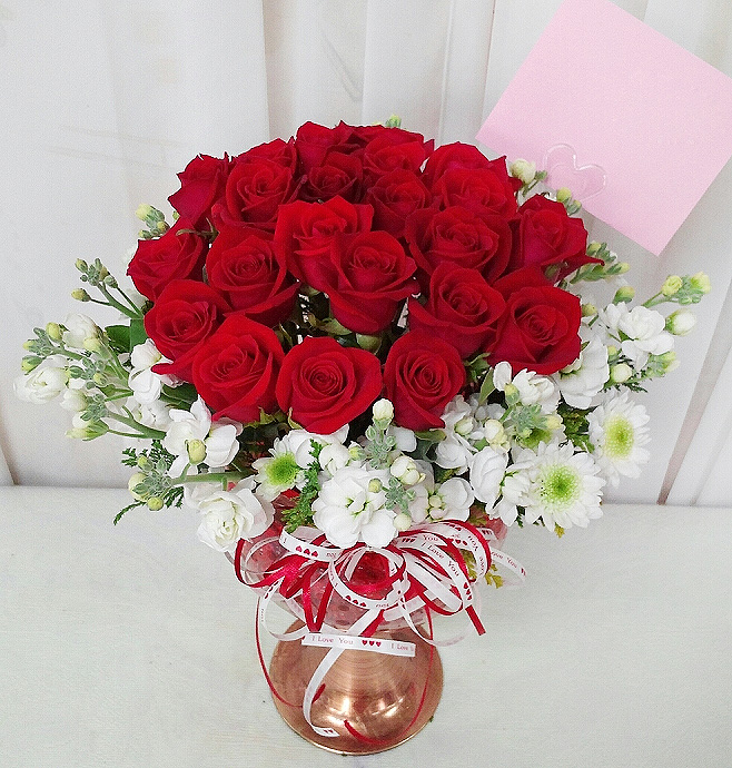 ST-C230