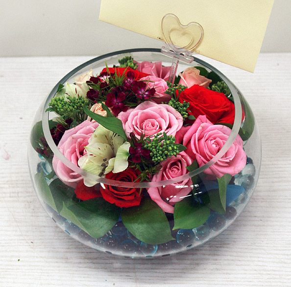 ST-C299