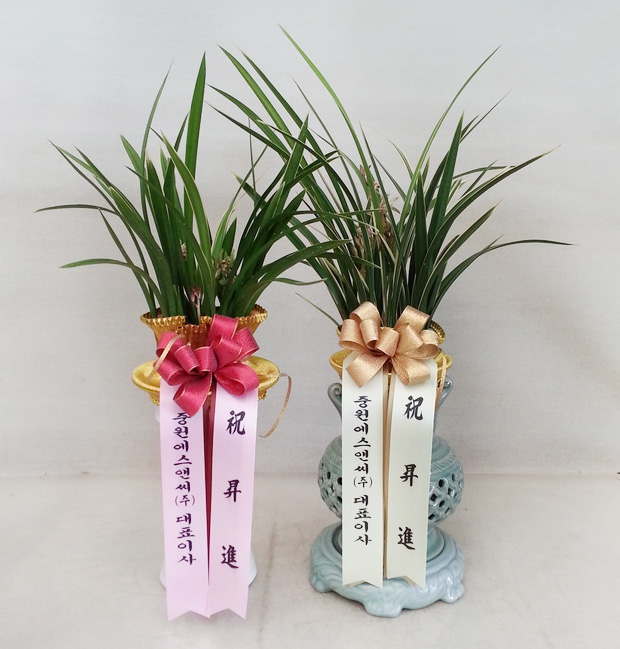 ST-E494