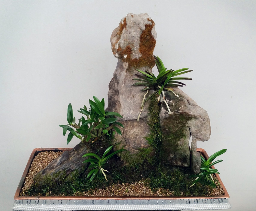 ST-I118