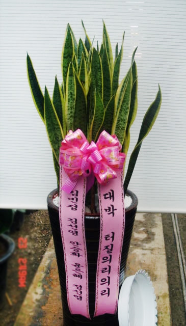 ST-J109