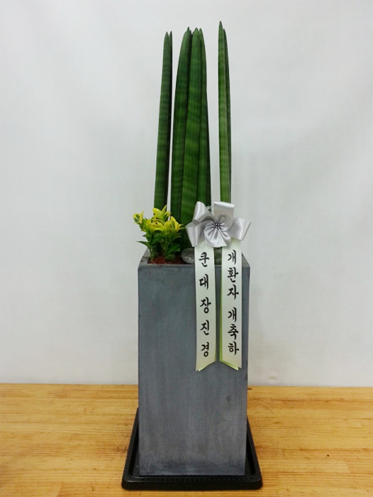 ST-J122