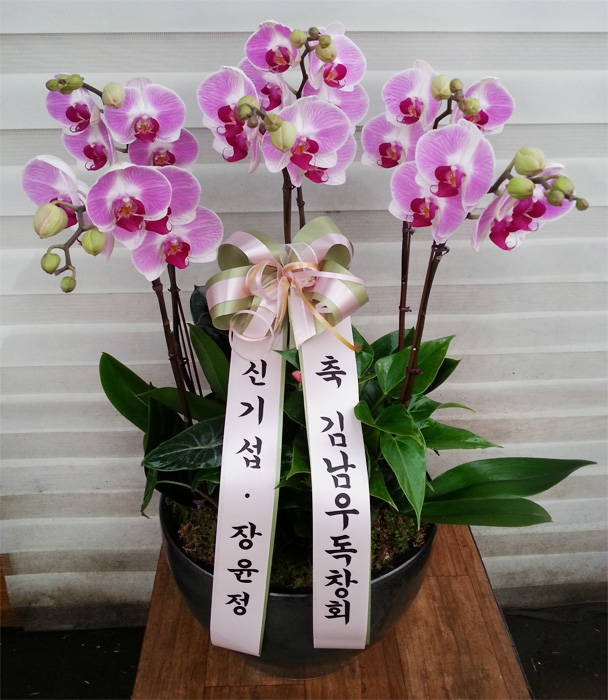ST-H348