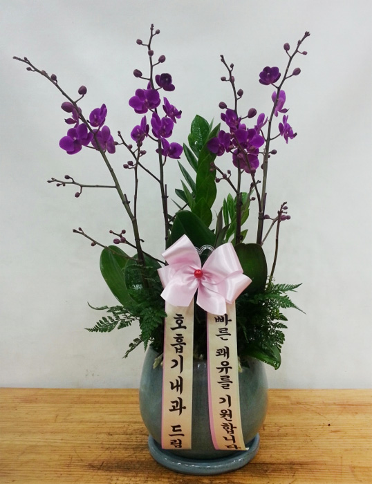 ST-H367