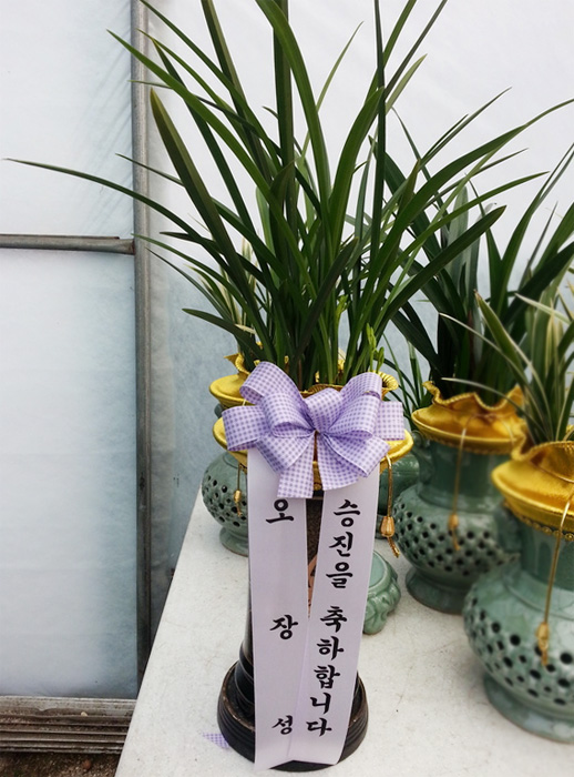 ST-E491