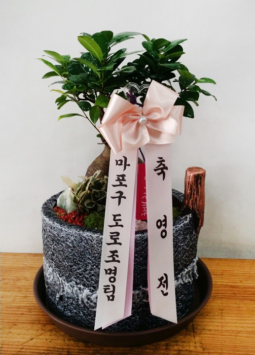 ST-I219