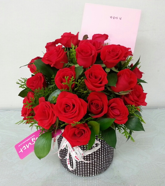 ST-C384