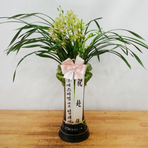 ST-E487