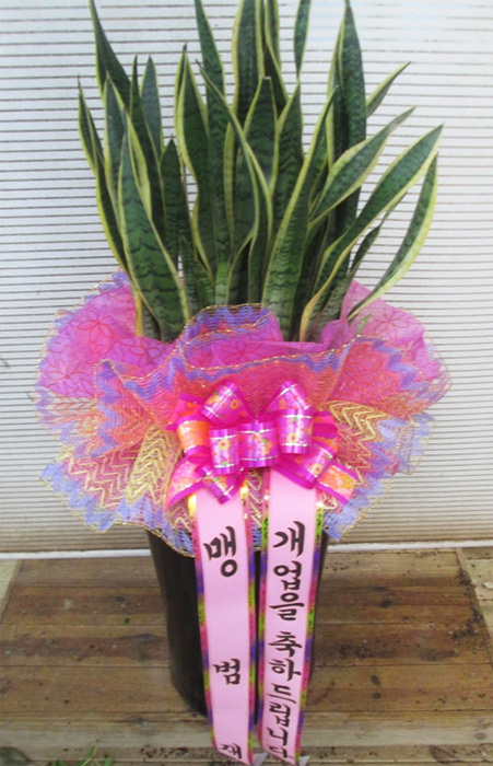 ST-J109
