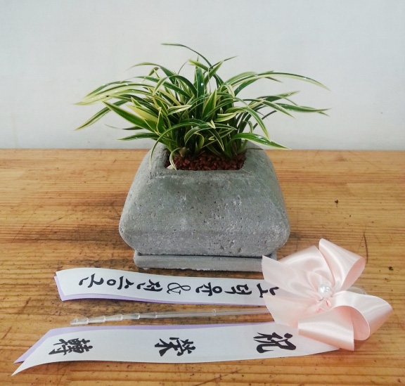 ST-E499