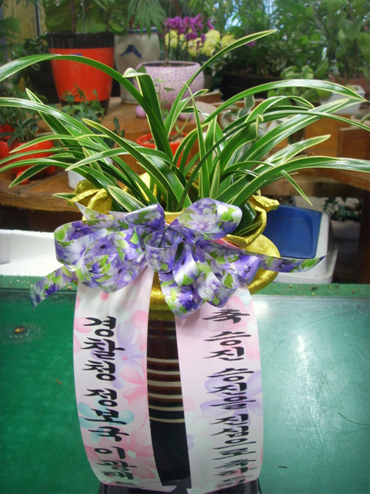 ST-E465