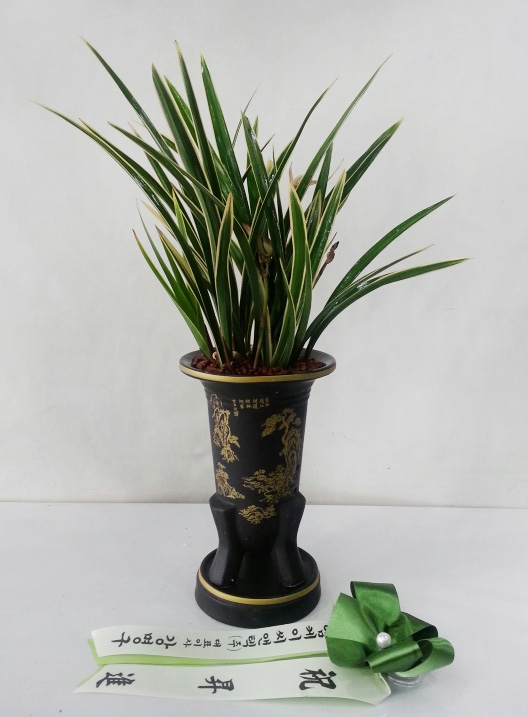 ST-E505