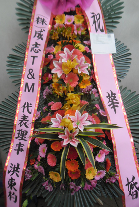 ST-FA249