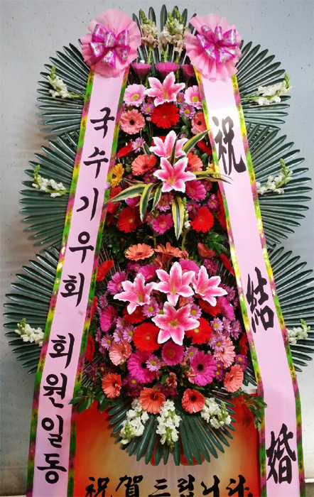 ST-FA248