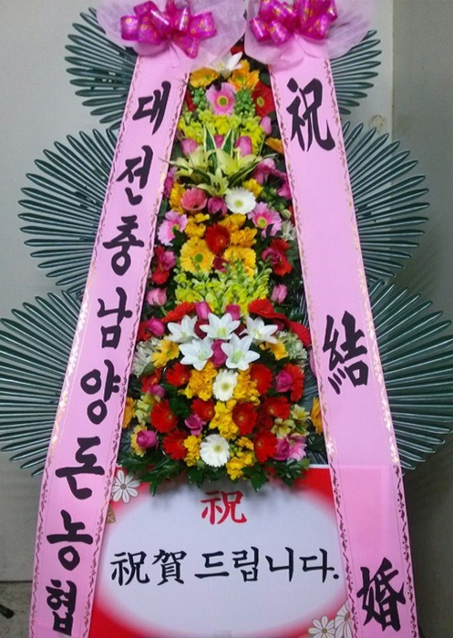 ST-FA248