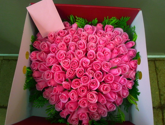 ST-B100