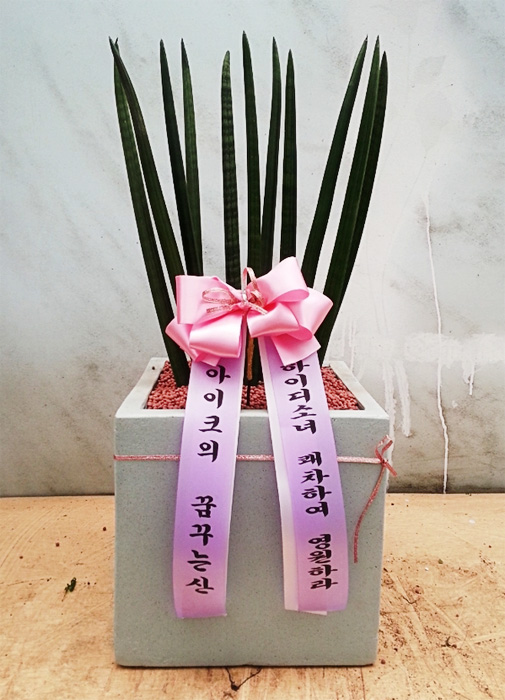 ST-J111
