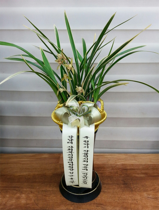 ST-E497
