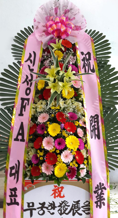 ST-FA064