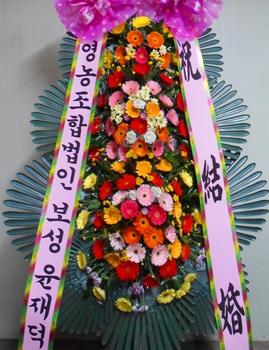 ST-FA248