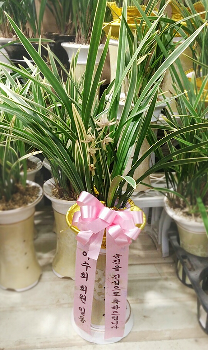 ST-E505