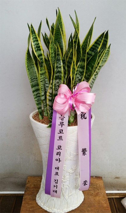 ST-J86