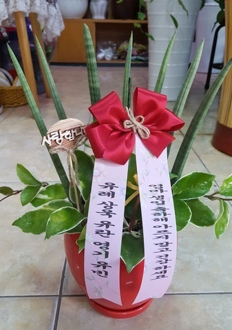 ST-J117