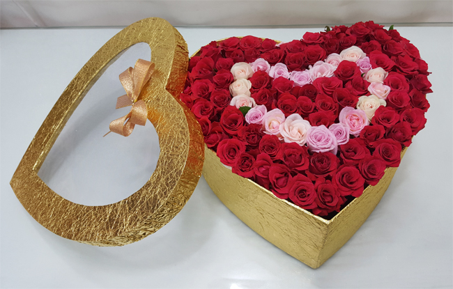 ST-B249