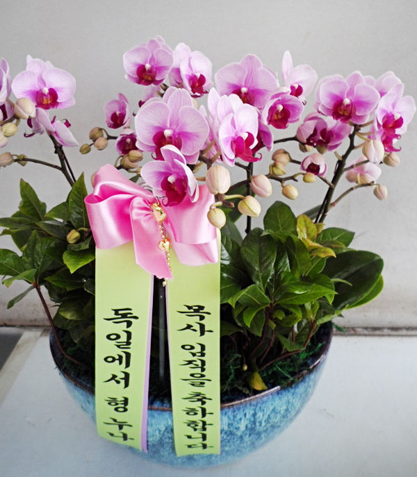 ST-H297