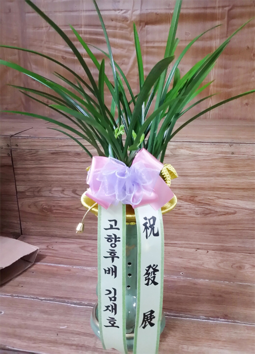 ST-E489