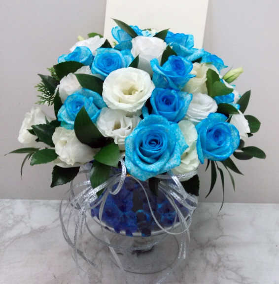 ST-C313