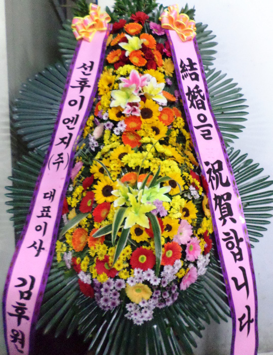 ST-FA248