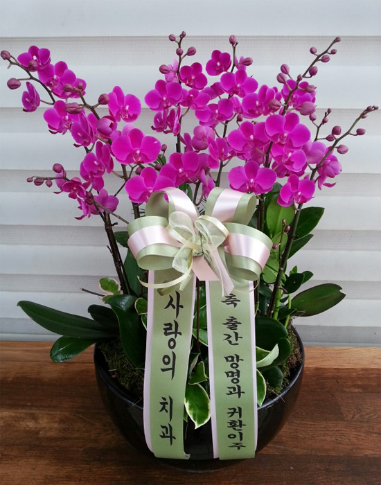 ST-H355
