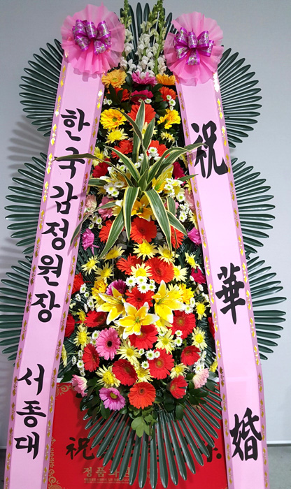 ST-FA248
