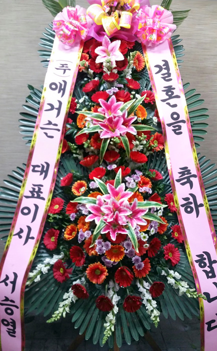 ST-FA248