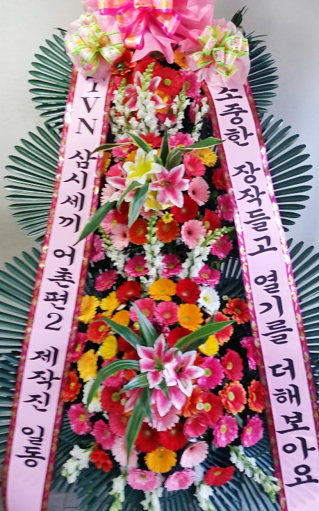 ST-FA248