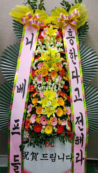 ST-FA248