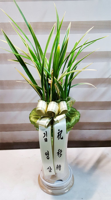 ST-E479