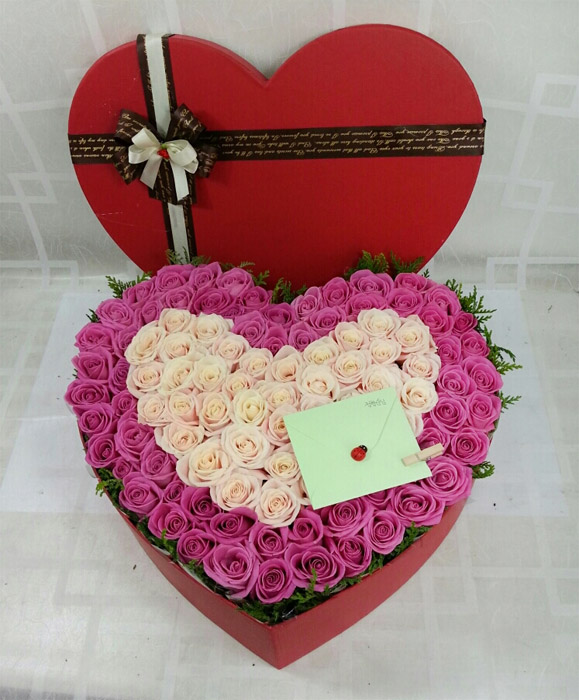 ST-B251