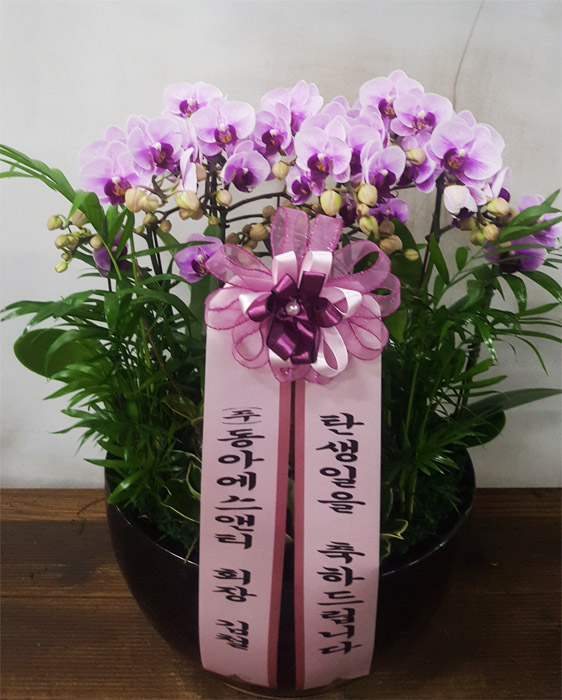 ST-H409